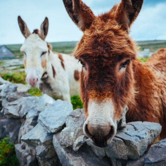 Aran Islands Aran Islands