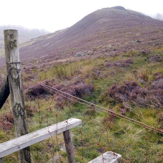 Inishfree Island Inishfree Island